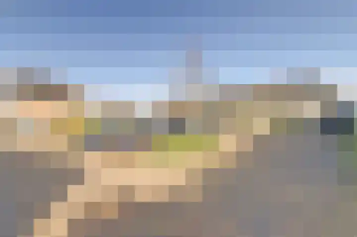 Zoete Brederodepad 12 Hoef en Haag thumbnail 44