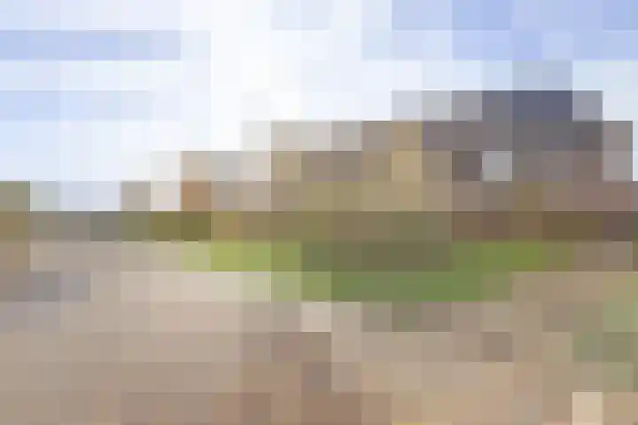 Zoete Brederodepad 12 Hoef en Haag thumbnail 45