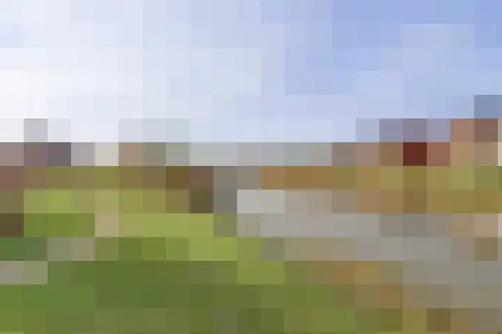 Zoete Brederodepad 12 Hoef en Haag thumbnail 46