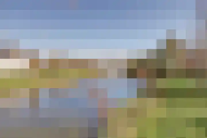 Zoete Brederodepad 12 Hoef en Haag thumbnail 47