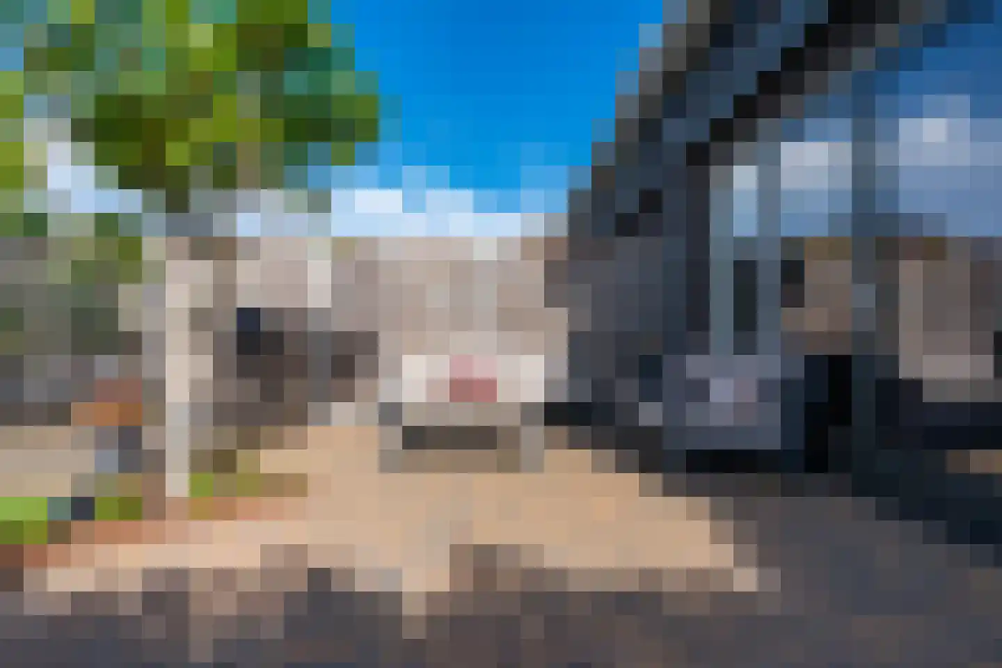 Zoete Brederodepad 14 Hoef en Haag thumbnail 16