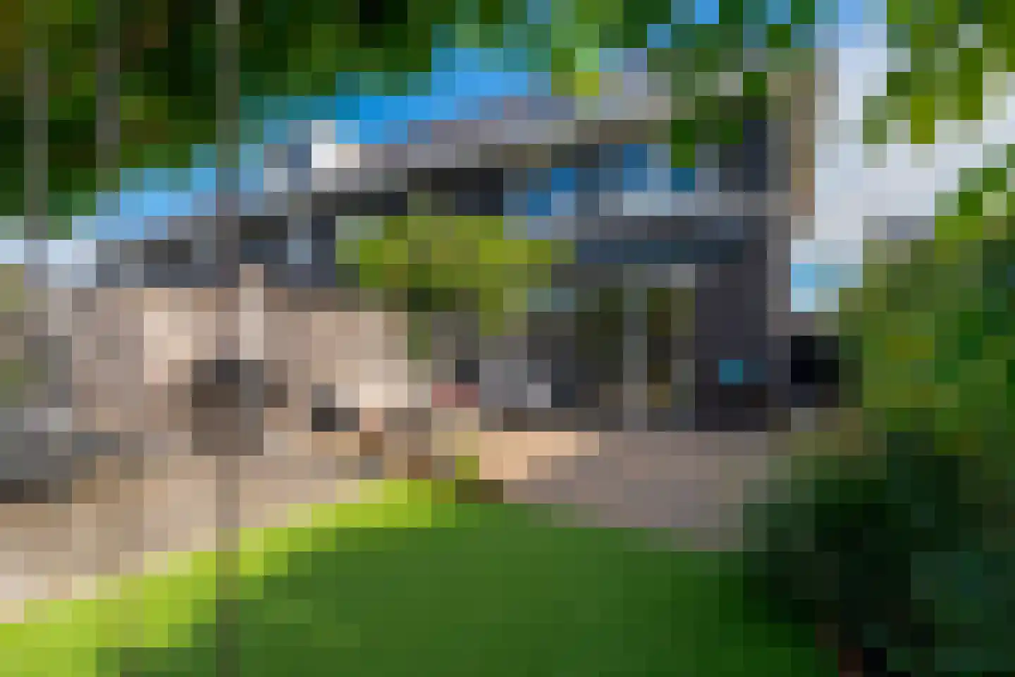 Zoete Brederodepad 14 Hoef en Haag thumbnail 21