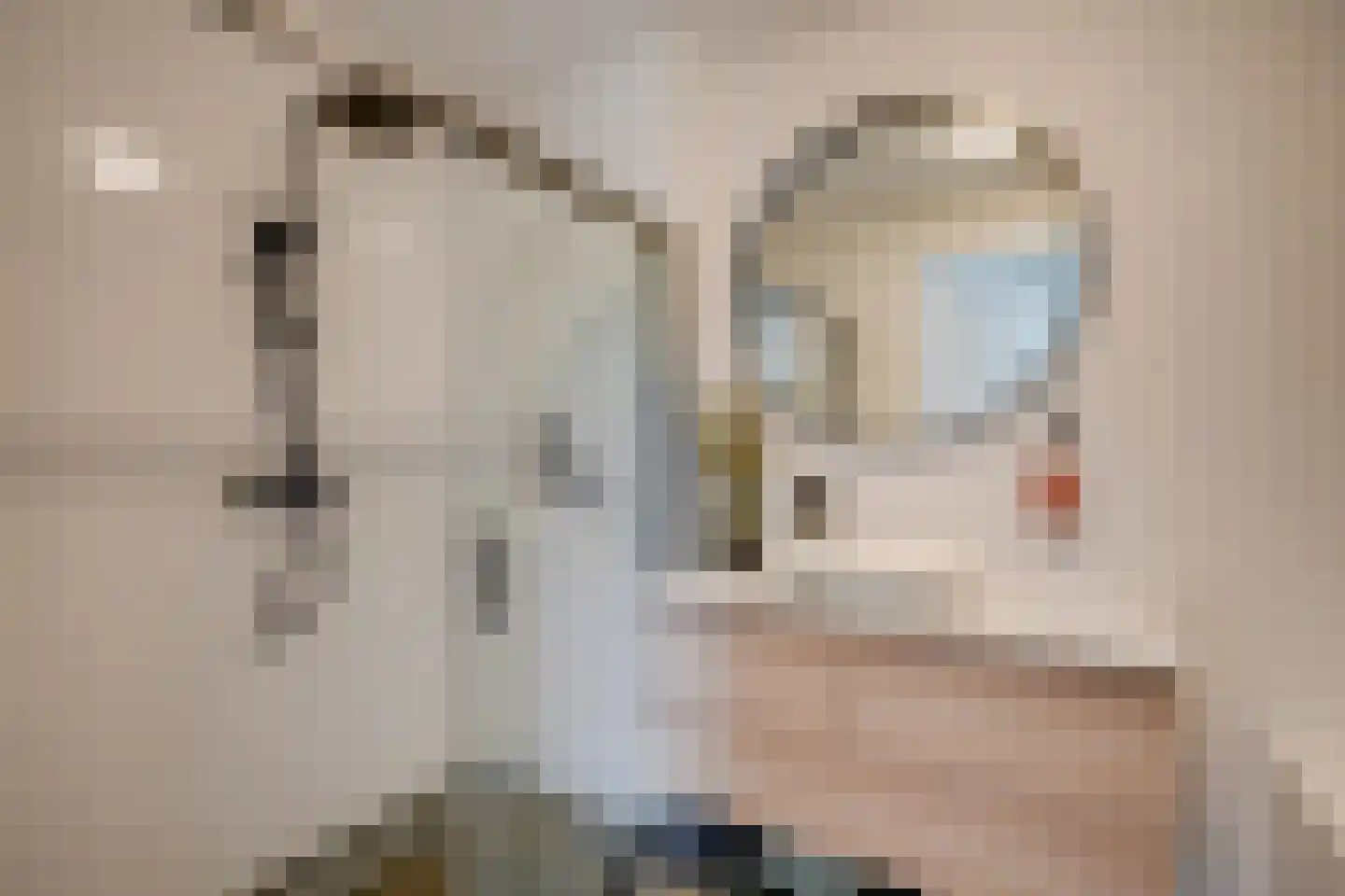 Zoete Brederodepad 14 Hoef en Haag thumbnail 30