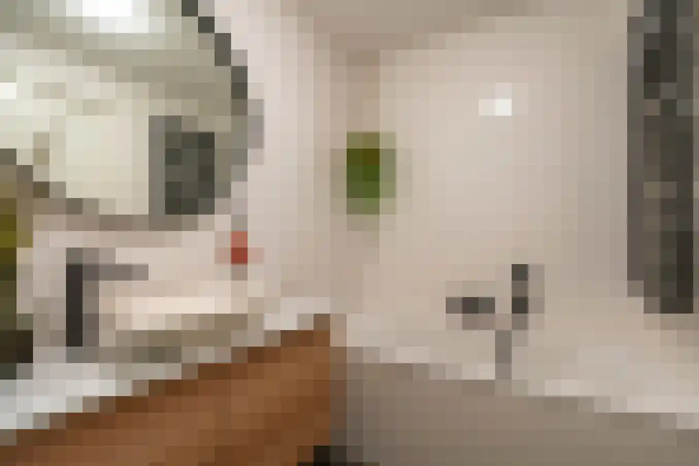 Zoete Brederodepad 14 Hoef en Haag thumbnail 31