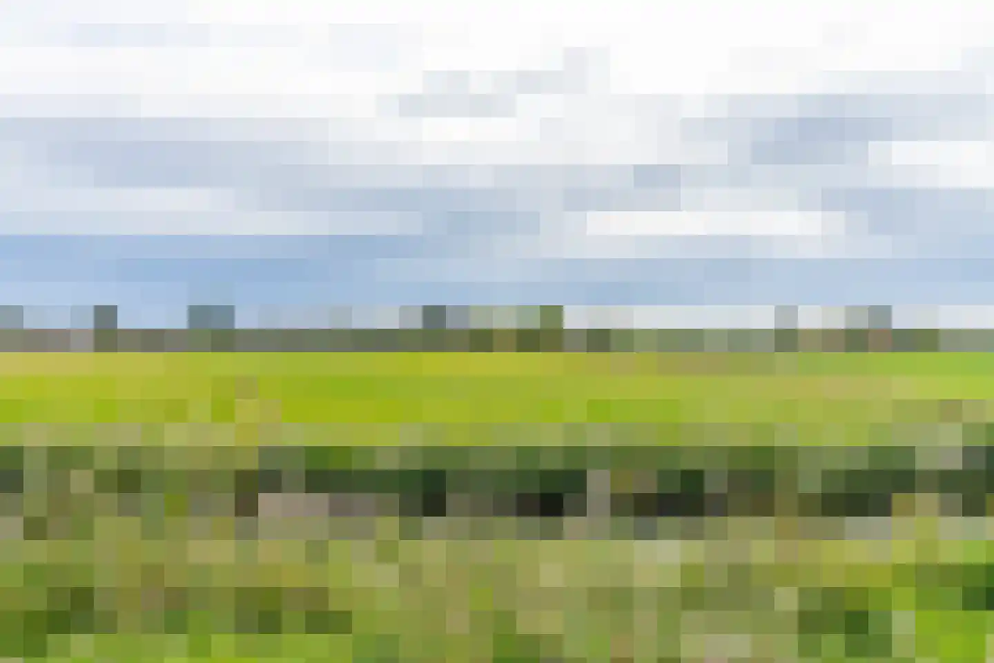Zoete Brederodepad 14 Hoef en Haag thumbnail 39