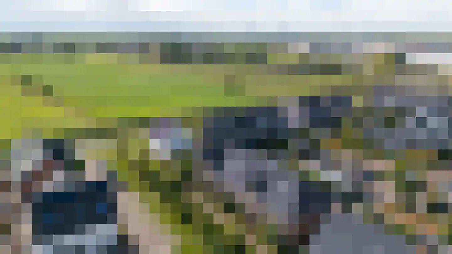 Zoete Brederodepad 14 Hoef en Haag thumbnail 4