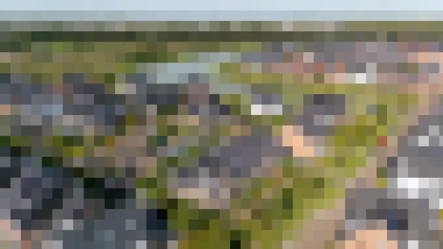 Zoete Brederodepad 14 Hoef en Haag thumbnail 41