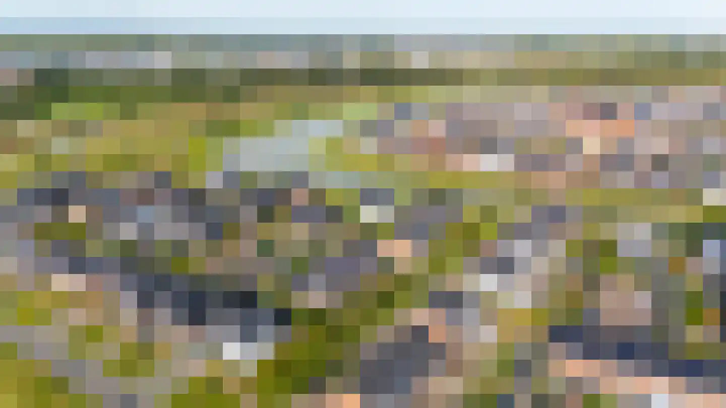 Zoete Brederodepad 14 Hoef en Haag thumbnail 42