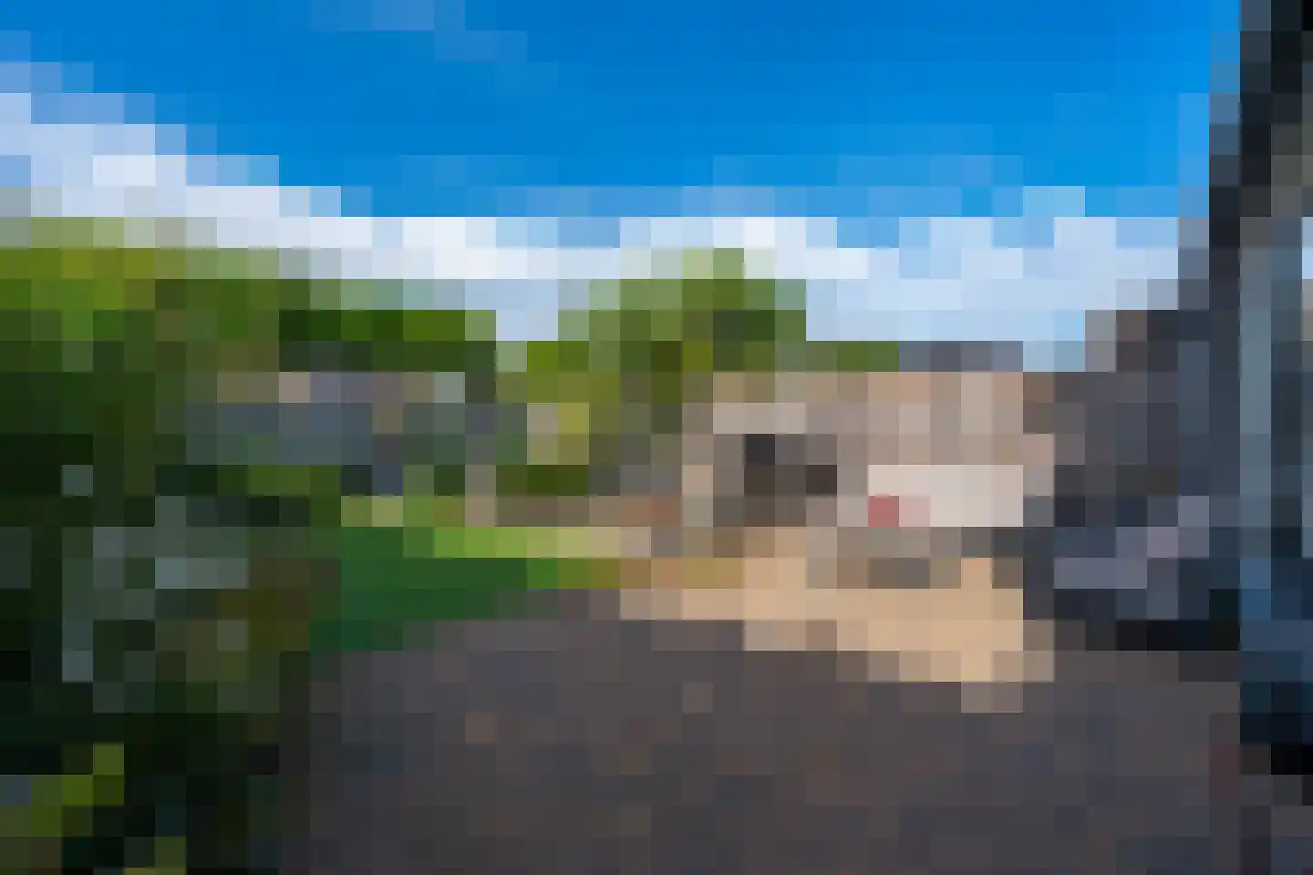 Zoete Brederodepad 14 Hoef en Haag thumbnail 5