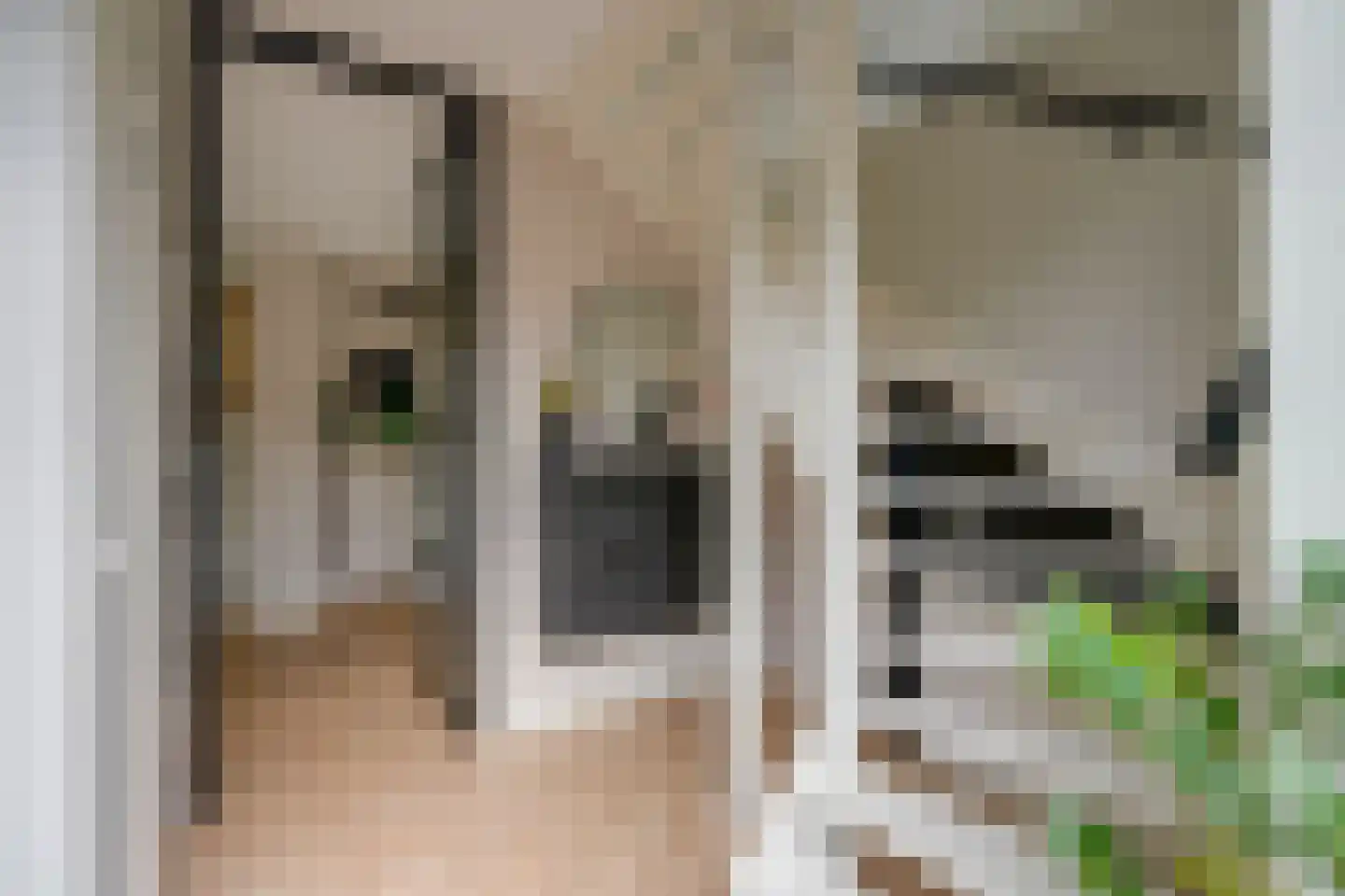 Zoete Brederodepad 14 Hoef en Haag thumbnail 7
