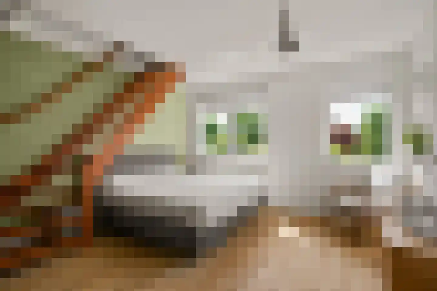 Zoete Campagnergaarde 4 Amersfoort thumbnail 13