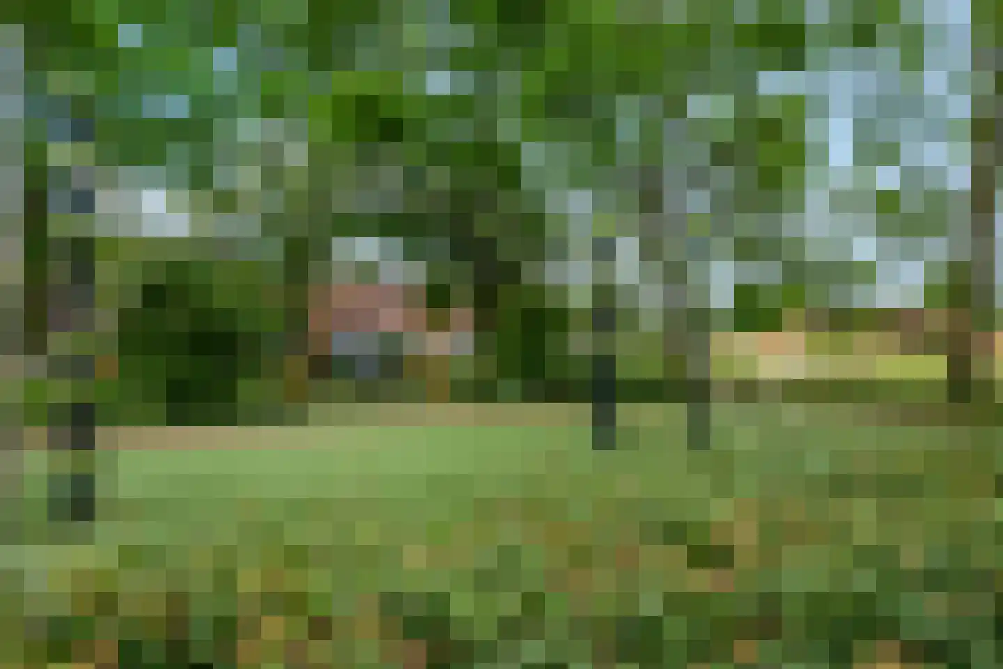 Zoete Campagnergaarde 4 Amersfoort thumbnail 27