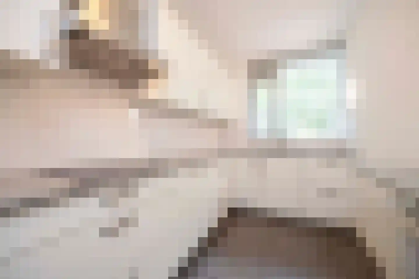 Zoete Ermgaard 11 Oirschot thumbnail 19
