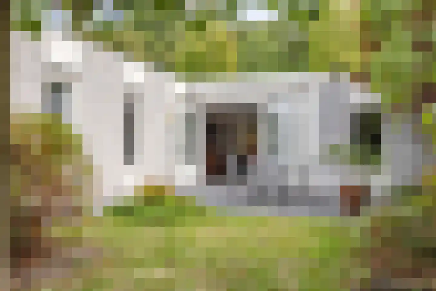 Zoete Ermgaard 11 Oirschot thumbnail 31