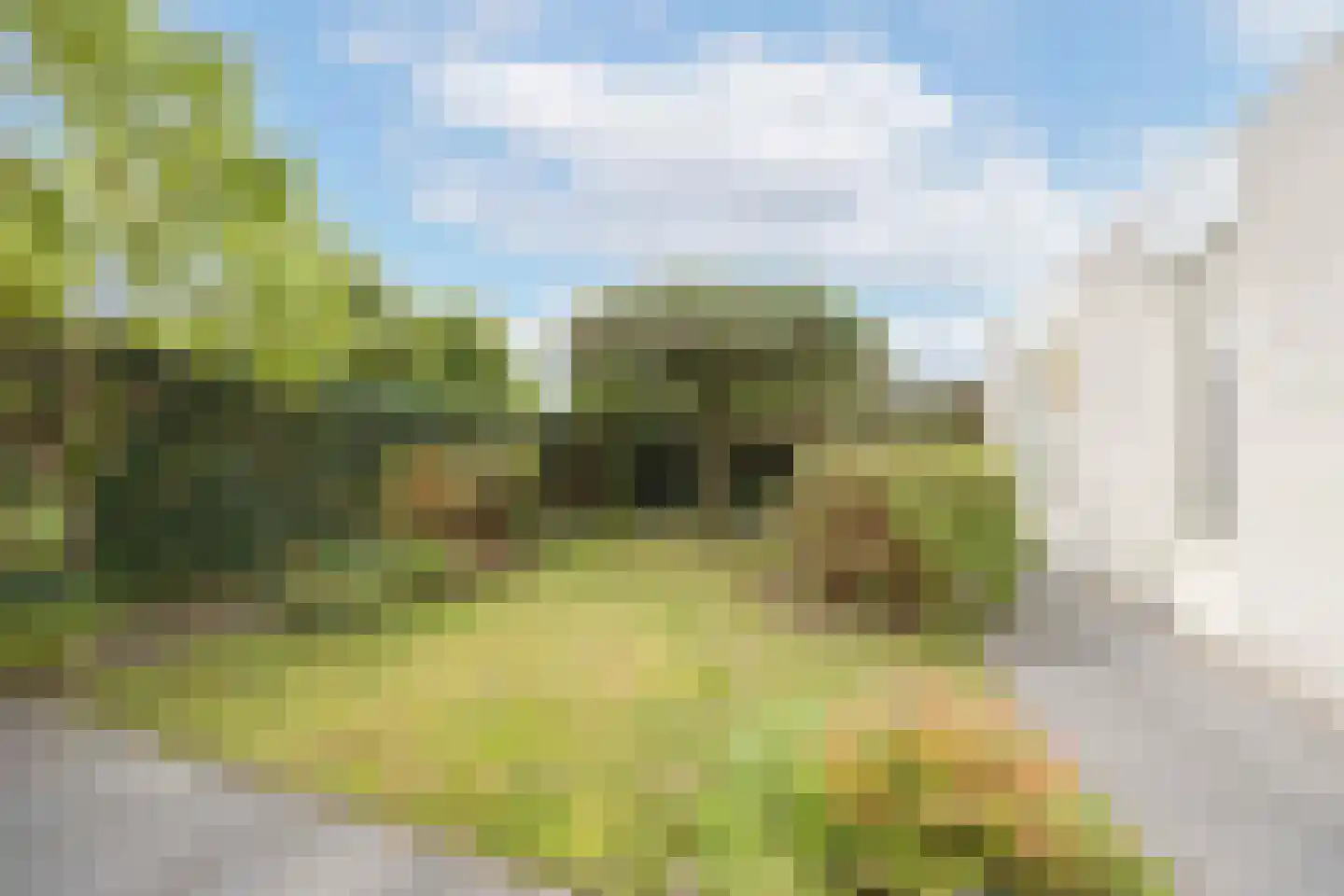 Zoete Ermgaard 11 Oirschot thumbnail 32