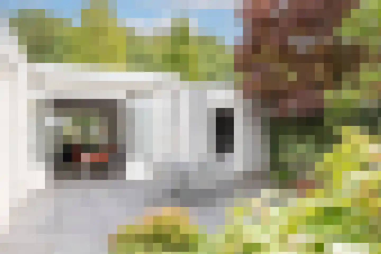 Zoete Ermgaard 11 Oirschot thumbnail 34