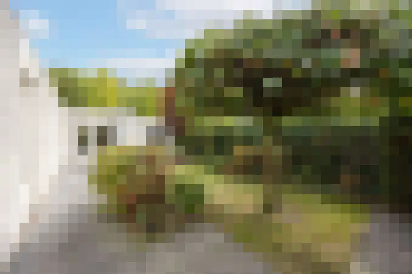 Zoete Ermgaard 11 Oirschot thumbnail 35
