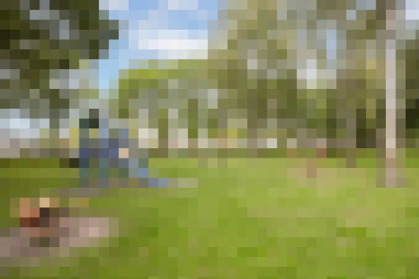 Zoete Ermgaard 11 Oirschot thumbnail 39