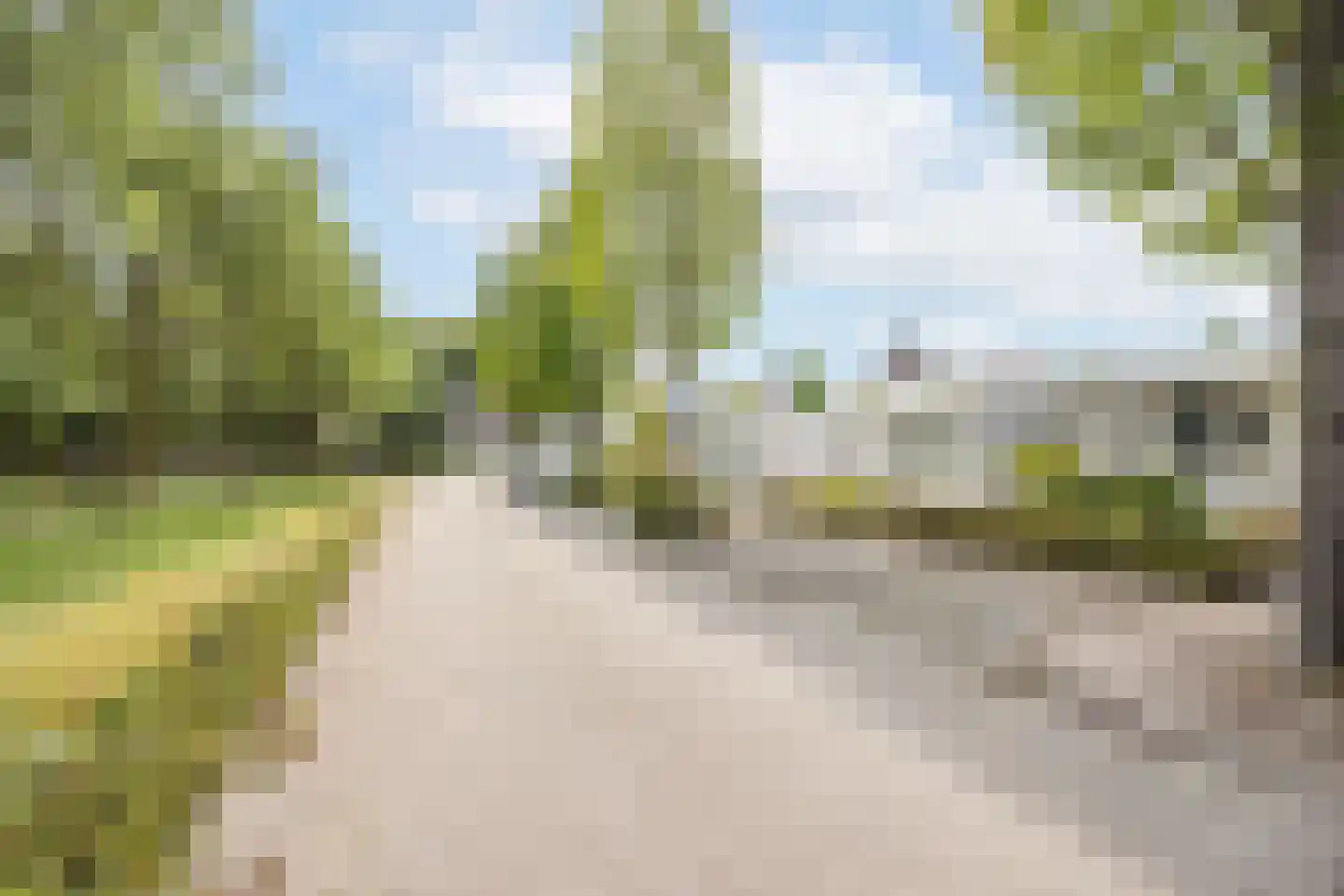 Zoete Ermgaard 11 Oirschot thumbnail 40