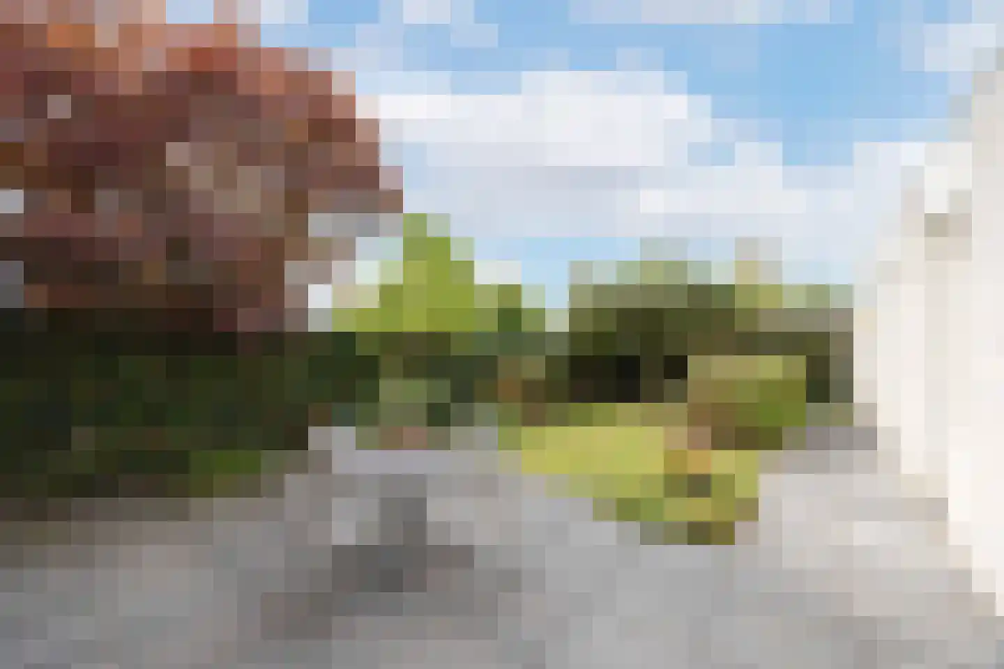 Zoete Ermgaard 11 Oirschot thumbnail 6