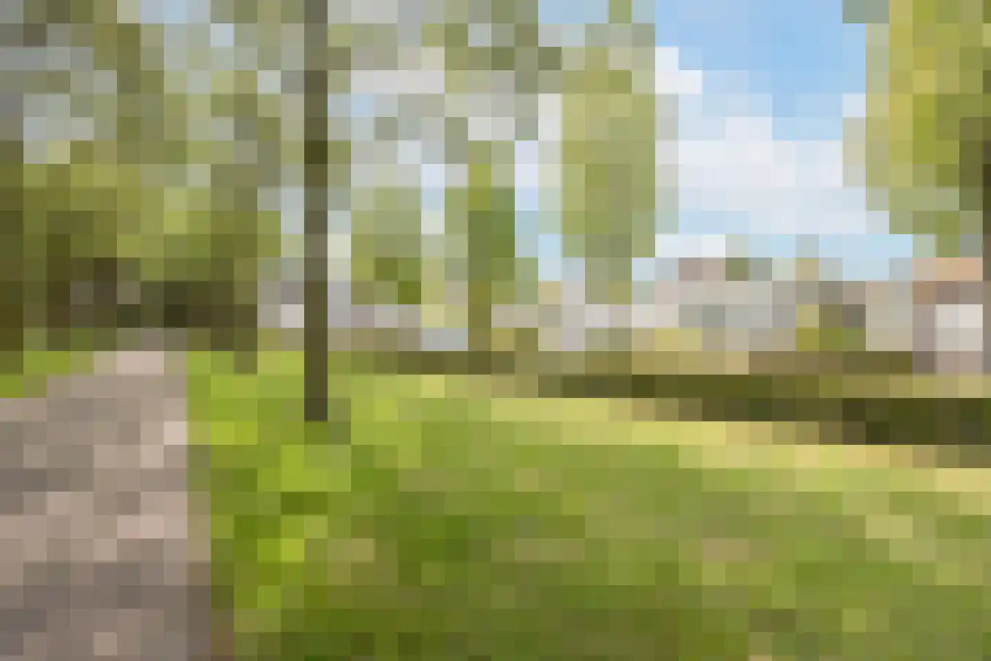 Zoete Ermgaard 11 Oirschot thumbnail 7