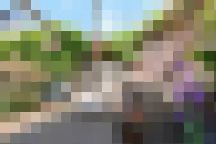 Zoete Ermgaard 15 Amersfoort thumbnail 15