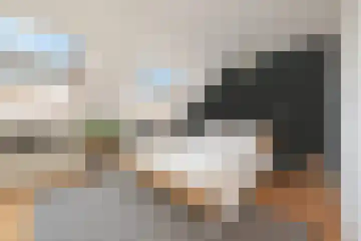 Zoete Ermgaard 15 Amersfoort thumbnail 20