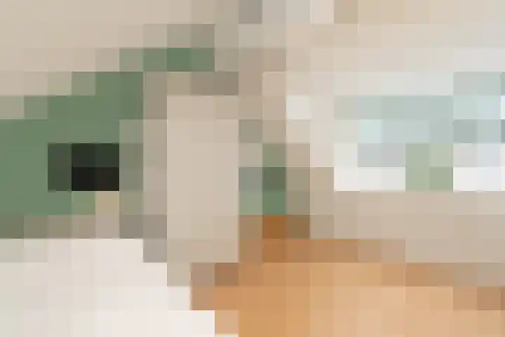 Zoete Ermgaard 15 Amersfoort thumbnail 31