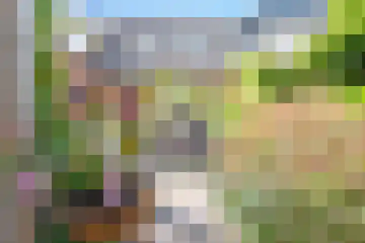 Zoete Ermgaard 15 Amersfoort thumbnail 33