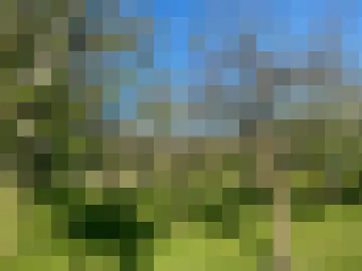 Zoete Ermgaard 15 Amersfoort thumbnail 37