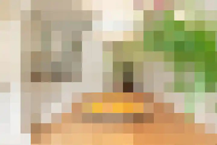 Zoete Ermgaard 15 Amersfoort thumbnail 7