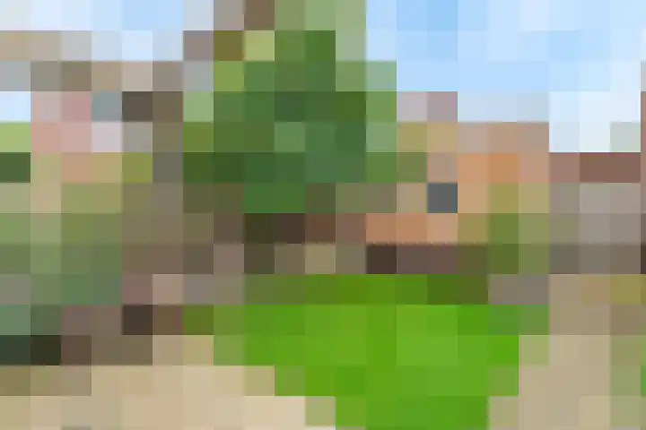 Zoete Ermgaard 3 Amersfoort thumbnail 22