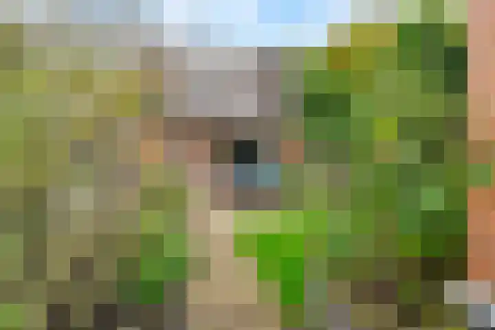 Zoete Ermgaard 3 Amersfoort thumbnail 23
