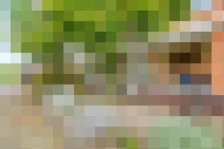 Zoete Ermgaard 3 Amersfoort thumbnail 25