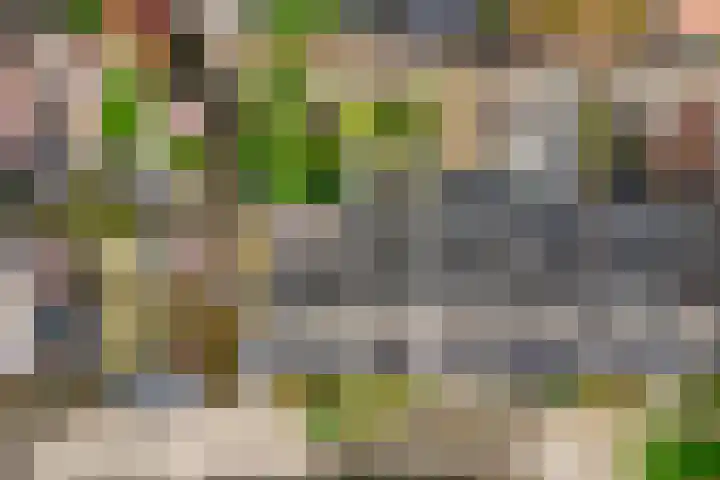 Zoete Ermgaard 3 Amersfoort thumbnail 28