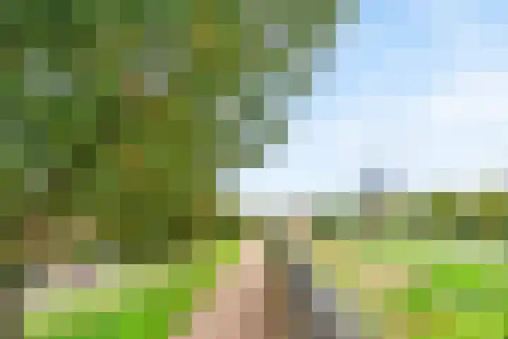 Zoete Ermgaard 3 Amersfoort thumbnail 30
