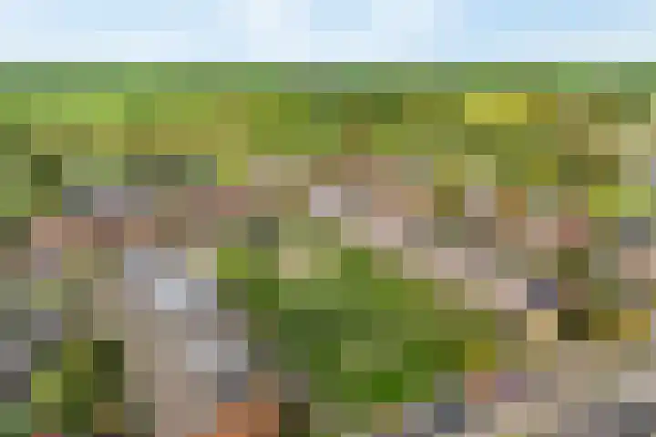 Zoete Ermgaard 3 Amersfoort thumbnail 31