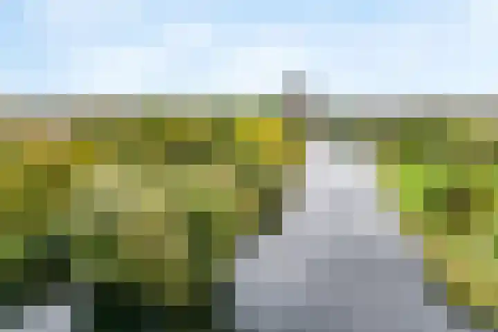 Zoete Ermgaard 3 Amersfoort thumbnail 32