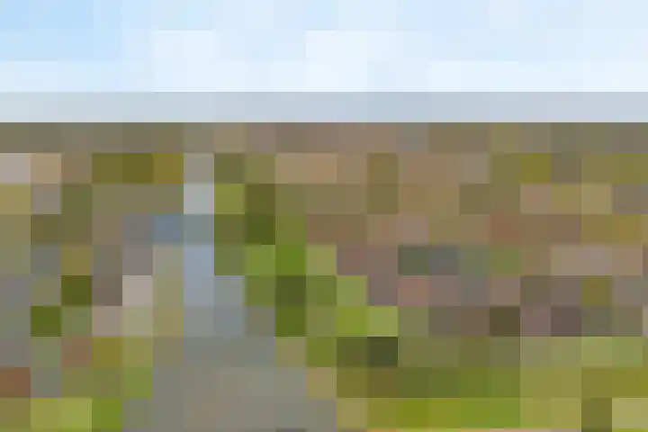 Zoete Ermgaard 3 Amersfoort thumbnail 33