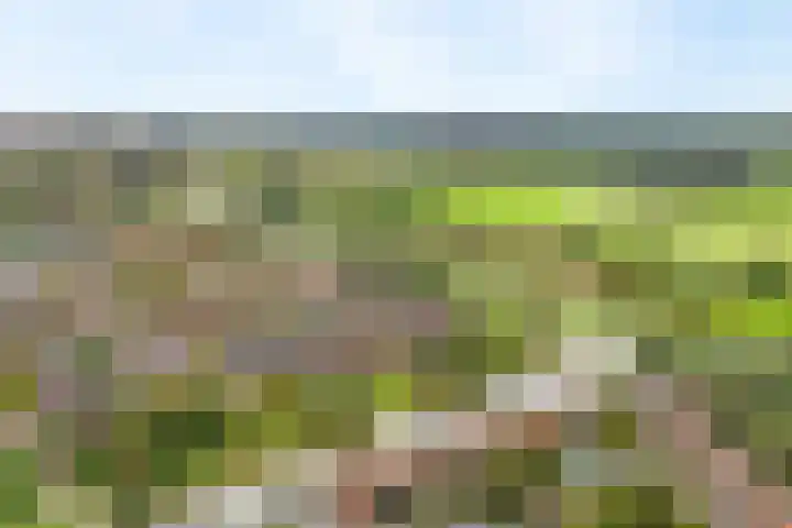 Zoete Ermgaard 3 Amersfoort thumbnail 34