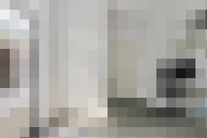 Zoete Ermgaard 8 Oirschot thumbnail 24