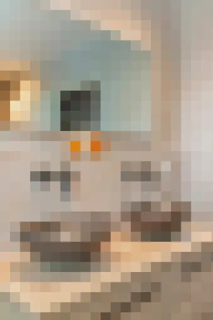 Zoete Ermgaard 8 Oirschot thumbnail 39