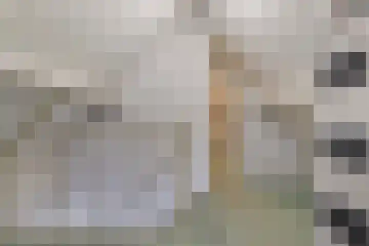 Zoete Ermgaard 8 Oirschot thumbnail 44