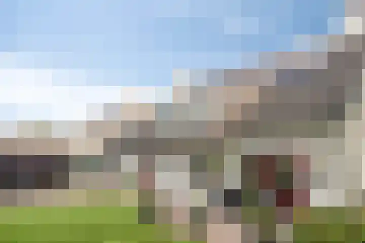 Zoete Ermgaard 8 Oirschot thumbnail 49