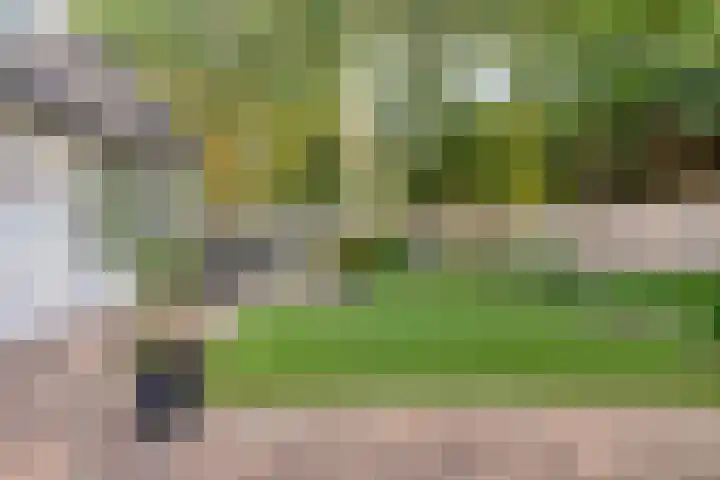 Zoete Ermgaard 8 Oirschot thumbnail 5