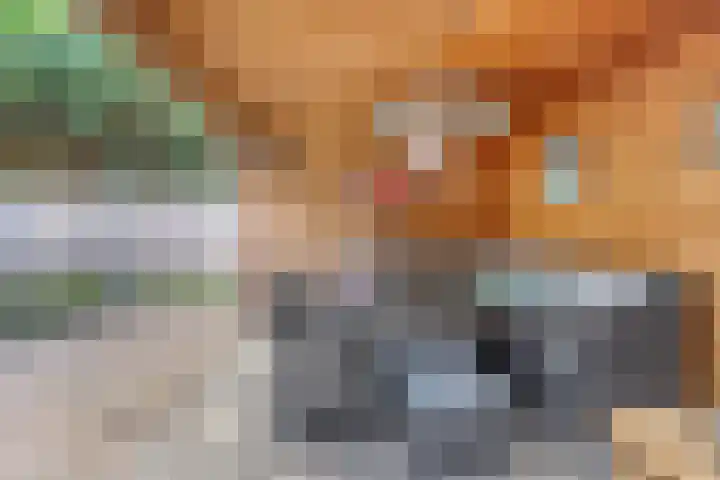 Zoete Ermgaard 8 Oirschot thumbnail 50