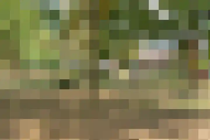 Zoete Ermgaard 8 Oirschot thumbnail 54