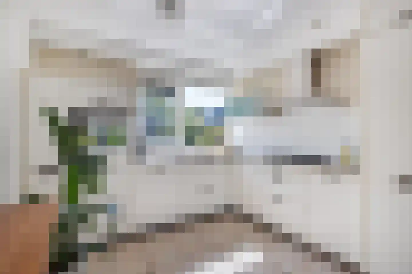 Zoete Inval 14 Kortenhoef thumbnail 10