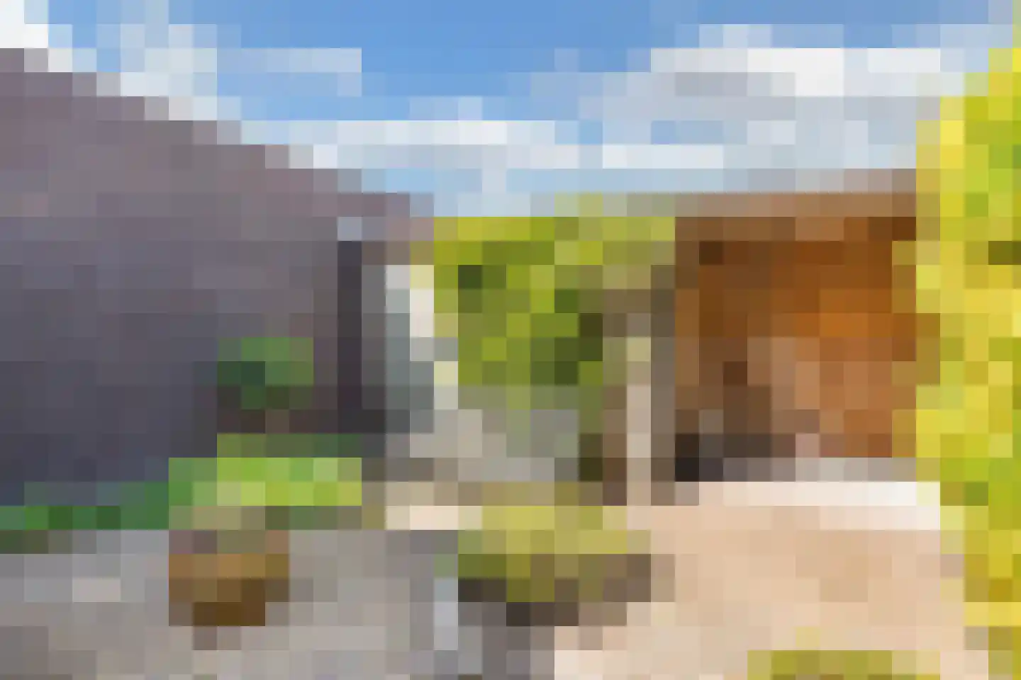 Zoete Inval 14 Kortenhoef thumbnail 18