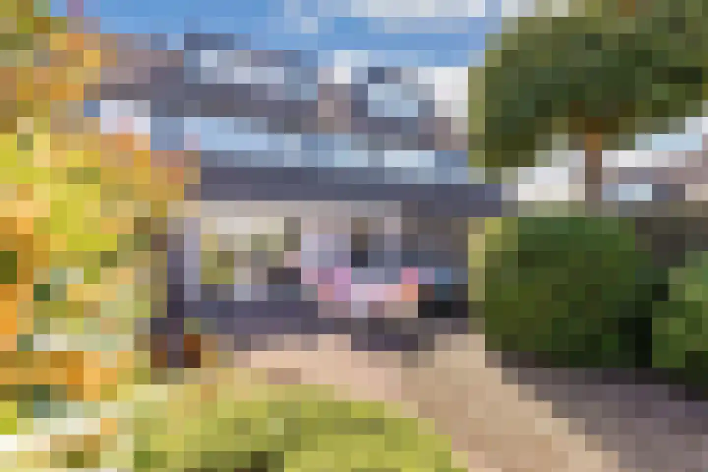 Zoete Inval 14 Kortenhoef thumbnail 20